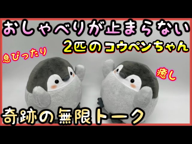 Shocking] Two talkative Koupen-chans are having a conversation on