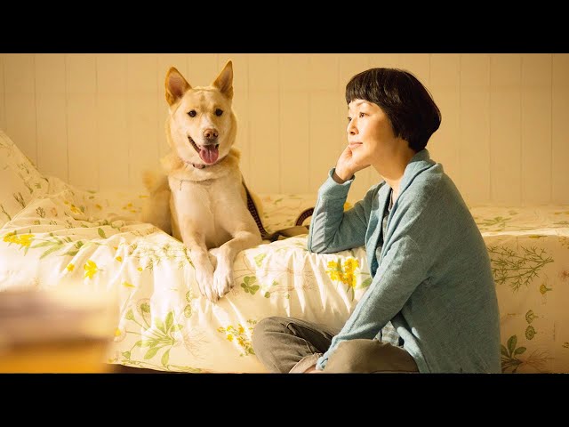Official_Trailer］Dogs without Names／犬に名前をつける日_英語字幕