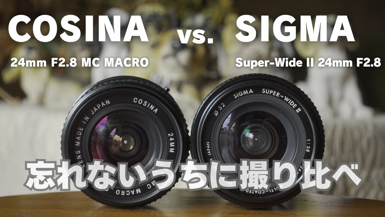 Comparing cheap wide-angle macro lenses: COSINA 24mm F2.8 MC MACRO