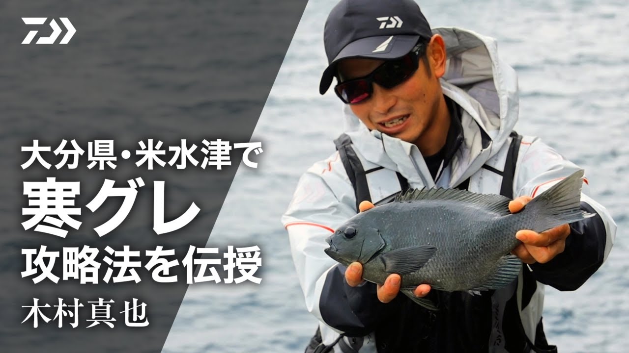 ダイワ 波濤(HATOU) 1.25-53・N(1.25-53・N): 竿｜釣具の通販なら