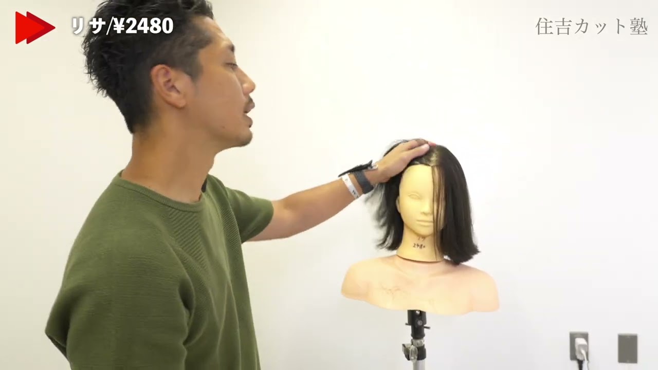 ファイバー 混合毛 カットウィッグ リサロング