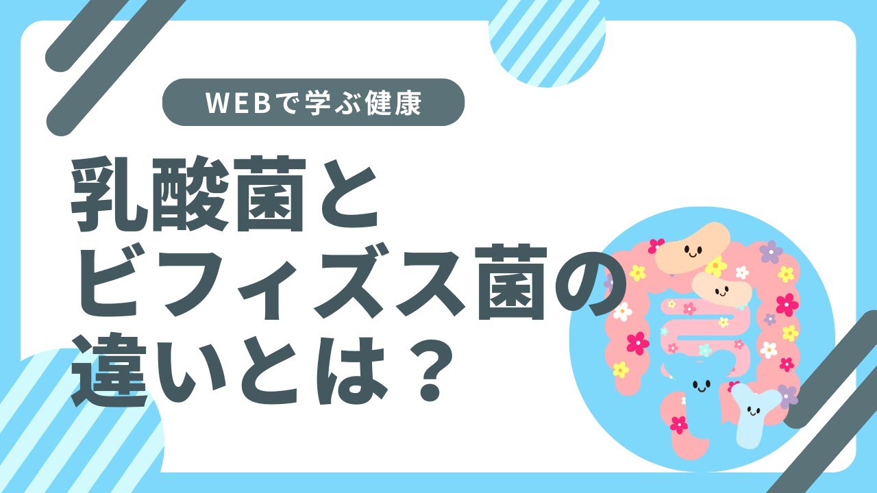 ビフィズス菌と乳酸菌の違いって？|Webで学ぶ|株式会社玄米酵素