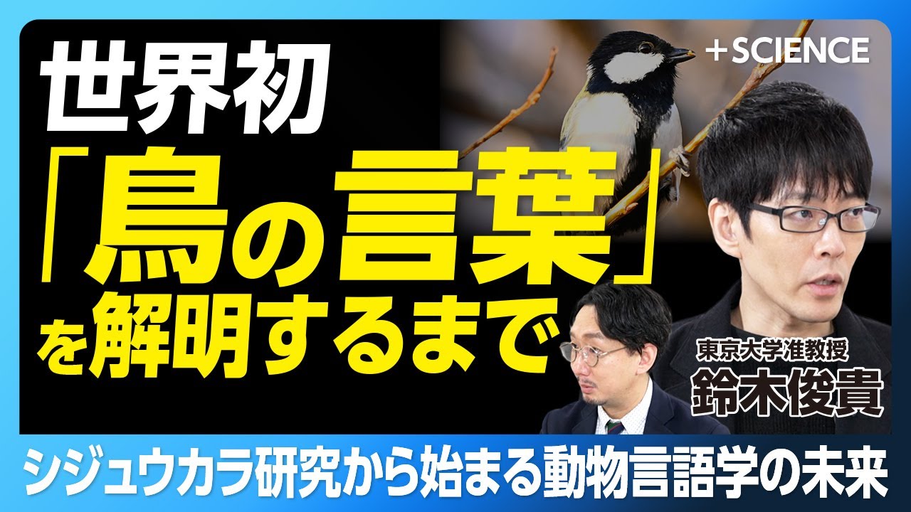 Birds have a language too