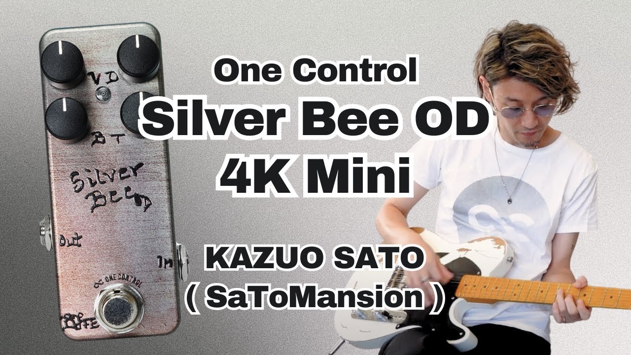 One Control Silver Bee OD 4K Mini – OneControl