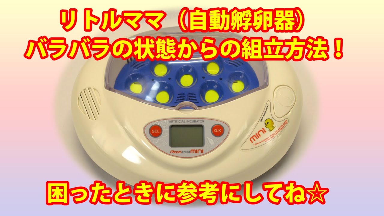 リトルママ（自動孵卵器）】バラバラからの組立方法！※自己責任で