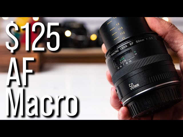 Too Good to be True? - Canon EF 50mm F2.5 Macro - YouTube