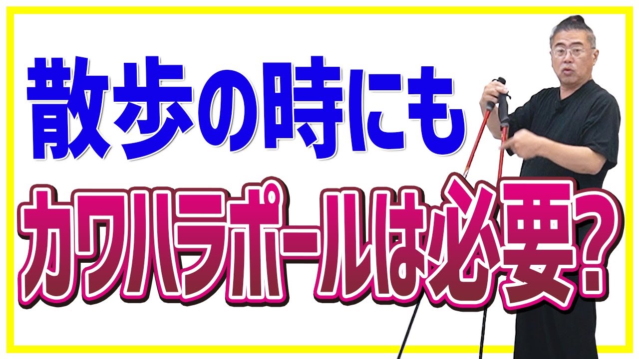 散歩の時にも、カワハラポールは必要？ - YouTube
