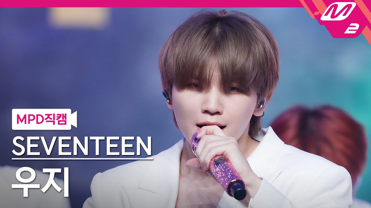 SEVENTEENメンバー説明書第7弾: WOOZI