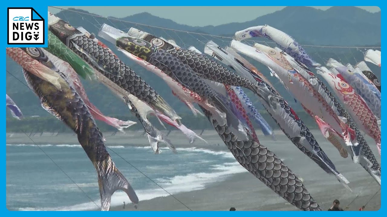 地元の若者たちが動いた！ 存続の危機乗り越え こいのぼり250匹が空へ