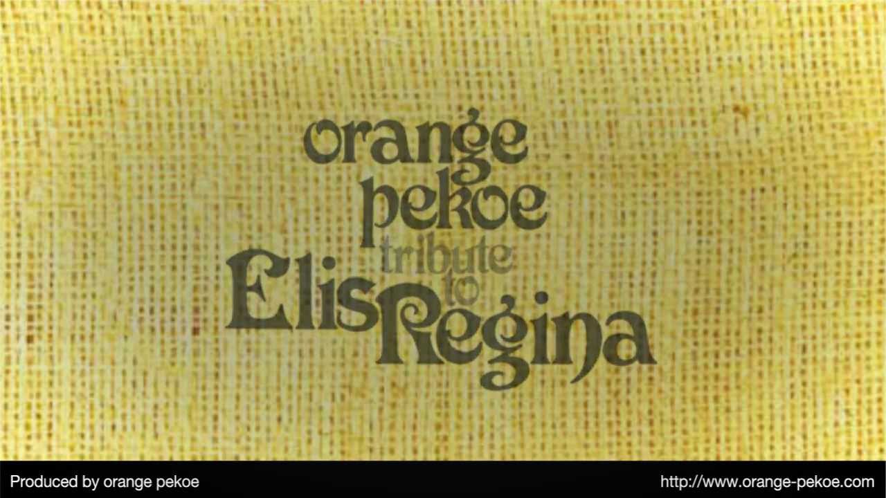 orange pekoe(LP) TRIBUTE TO ELIS REGINA -DJ機材アナログレコード