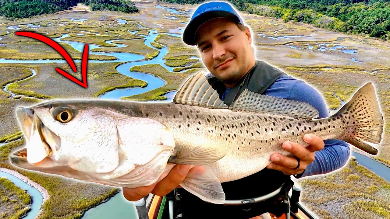 Chasing a MONSTER School of Speckled Trout from My Kayak! - YouTube