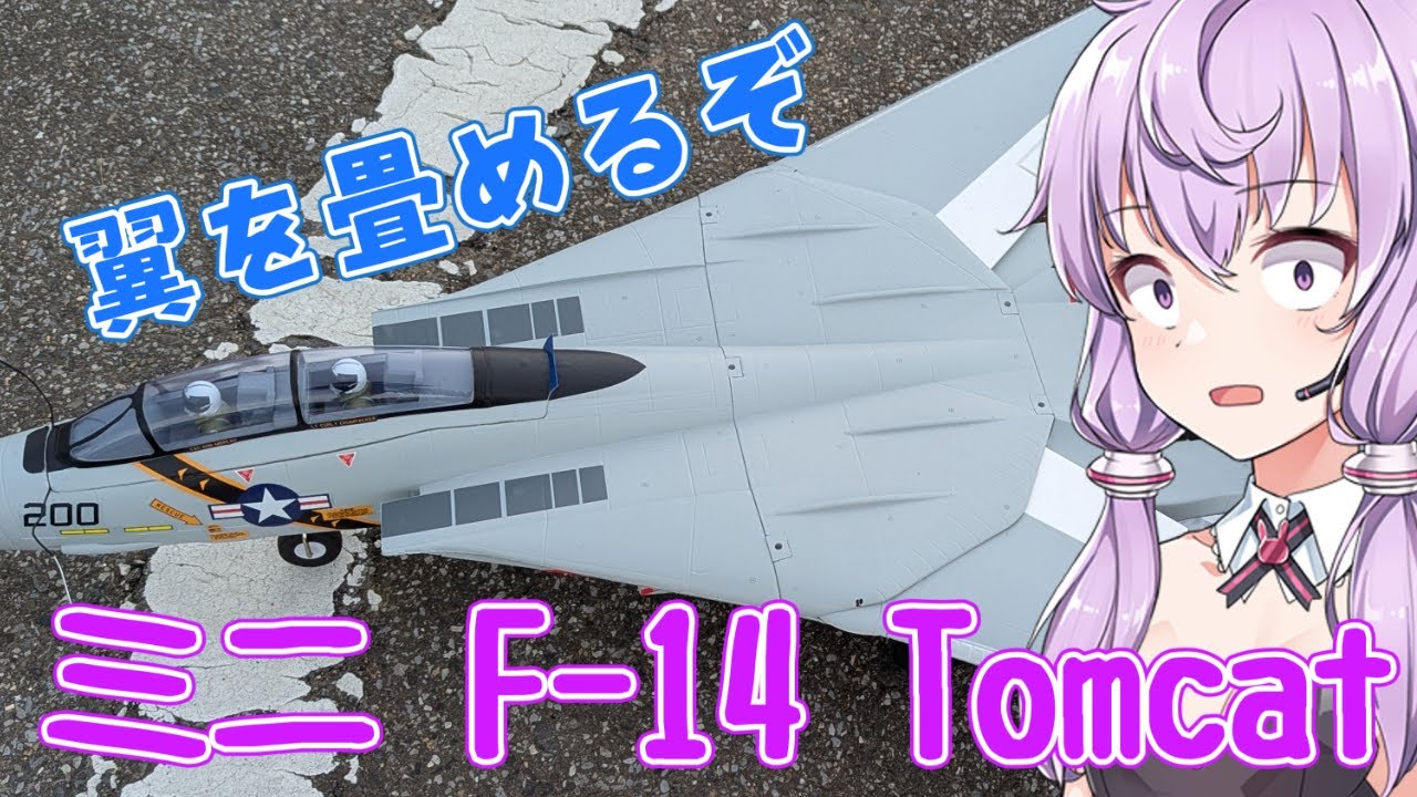 Mini F-14 Tomcat XFLY 40mm Twin EDF RC Airplane - YouTube