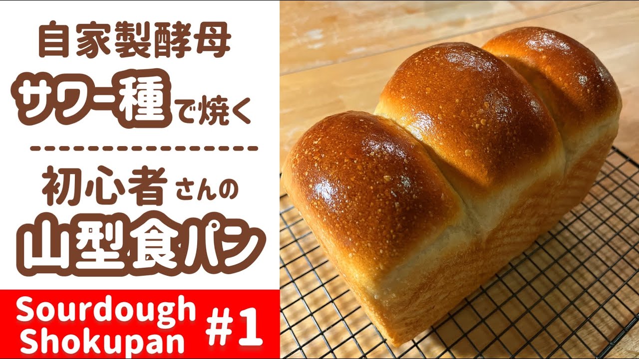 自家製酵母／初級~中級】①サワー種で作る山型食パン Japanese