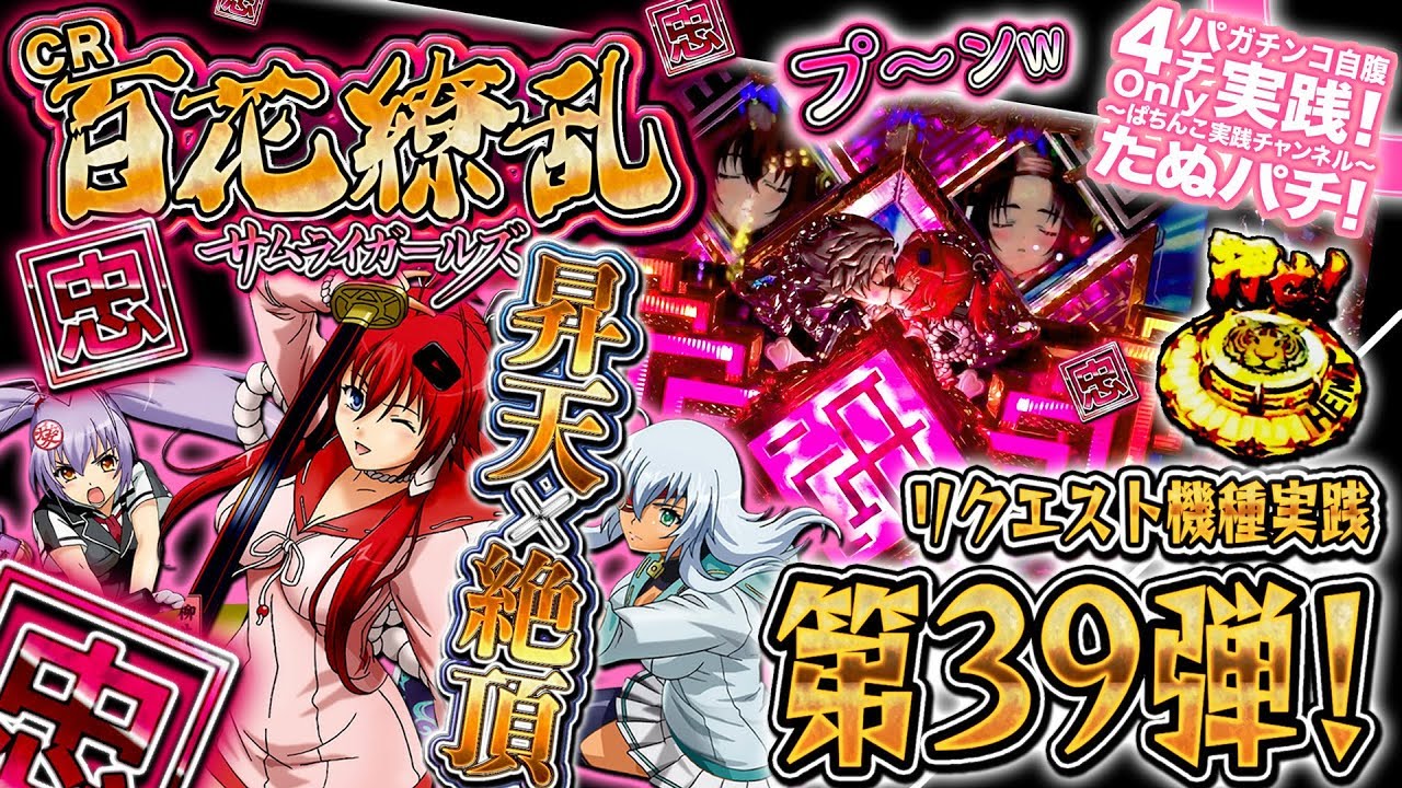 CR百花繚乱サムライガールズ 256ver. 続編が出るようなので、復習が