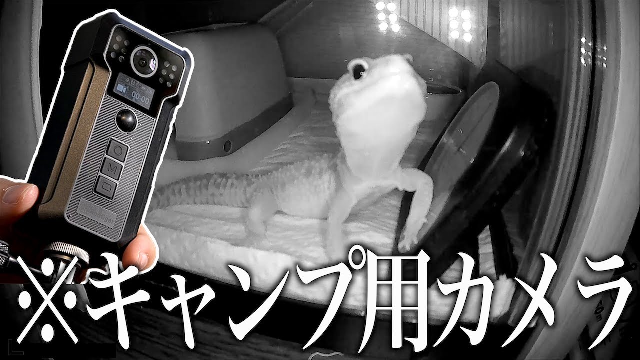 AKEEYO M1】キャンプしない人がキャンプ用カメラを使って行き着いた