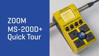 MS-200D+ Support | ZOOM
