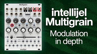Intellijel Multigrain - Eurorack Module on ModularGrid