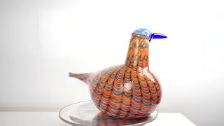 OIVA TOIKKA Bird Rainbow tern