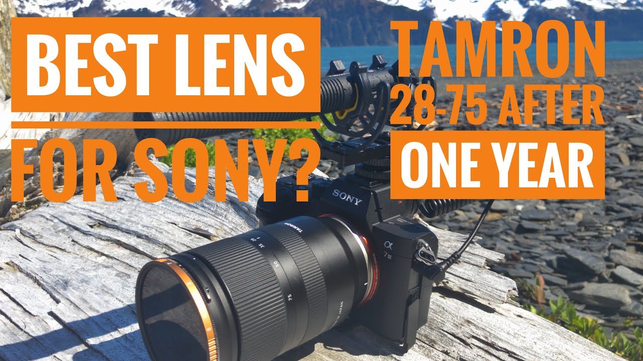 Tamron 28-75mm f2.8 Lens on Sony A7III After One Year Later Review