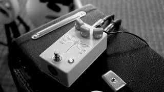 AC Noises VOLA - Pedal on ModularGrid