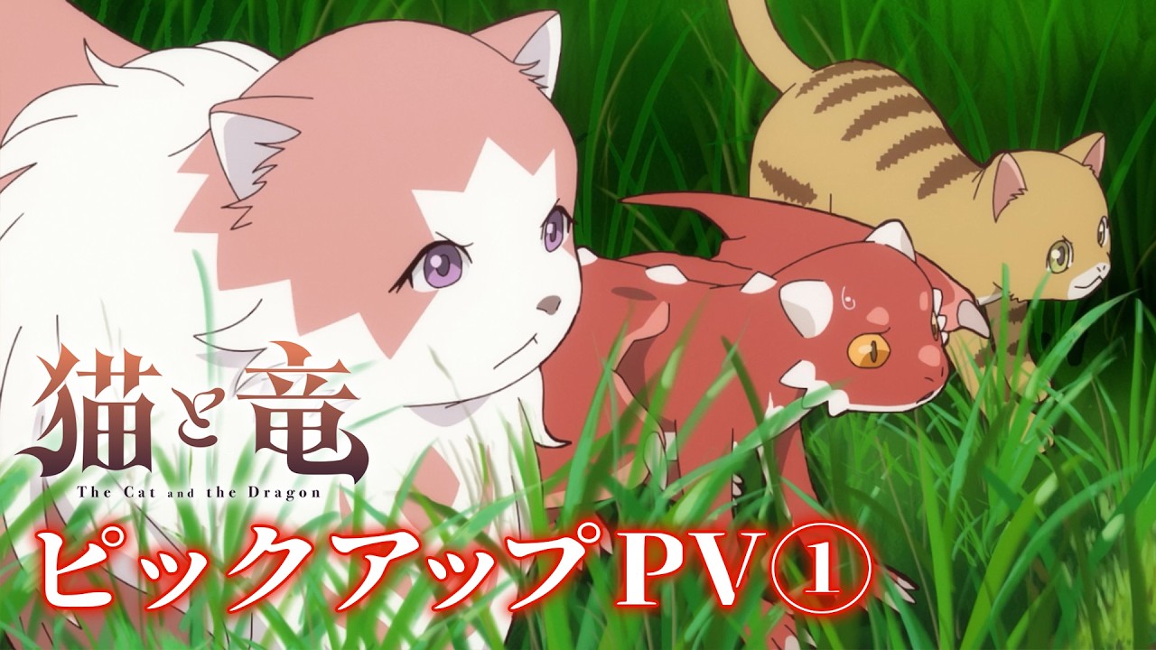 TVアニメ「猫と竜」公式サイト