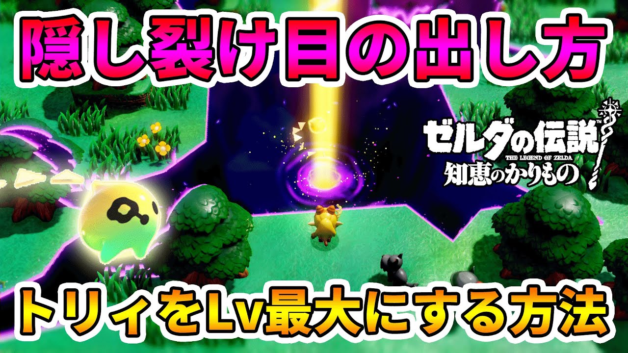 知恵のかりもの】見える裂け目を全てクリアしてもトリィは最大に