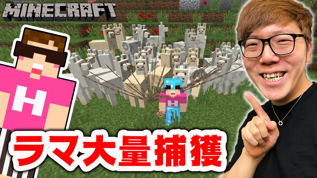 マインクラフト】ラマを大量に捕獲して繁殖させるぞ！【ヒカキンの