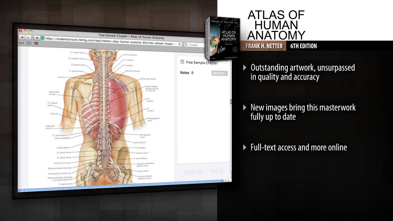 Atlas of Human Anatomy, 6th Edition - YouTube