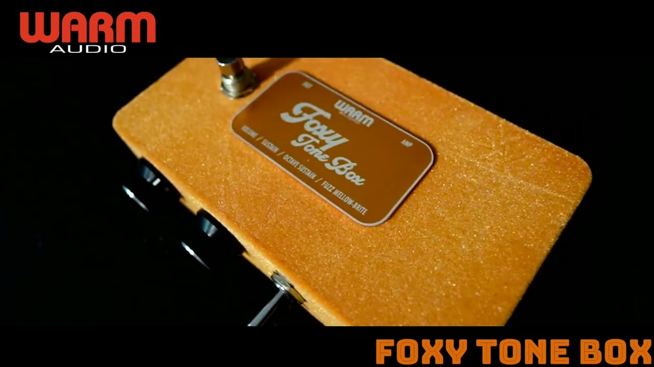 WARM AUDIO / FOXY TONE BOX Demo / Ryuichi Yashiki - YouTube