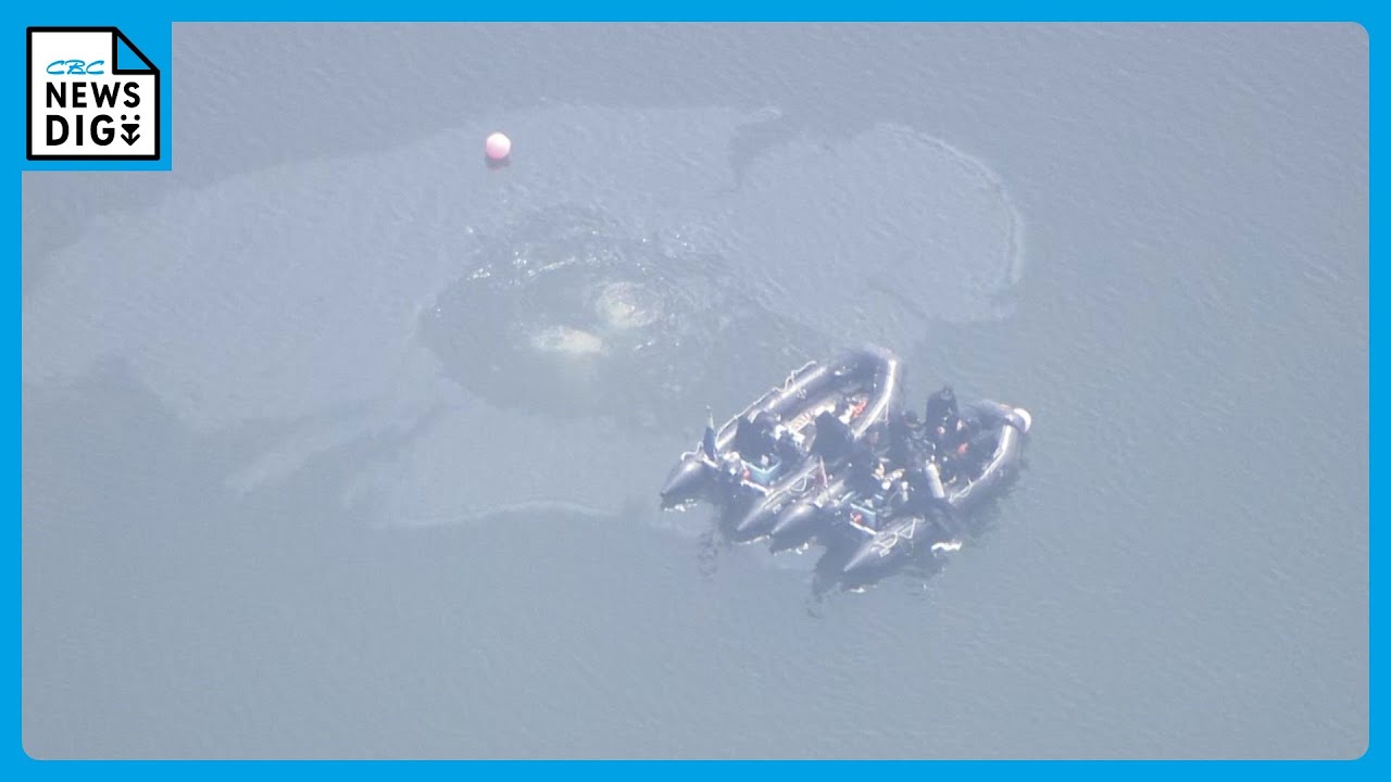 油”が浮いているのを新たに確認 自衛隊機の墜落事故から1週間 搭乗員2