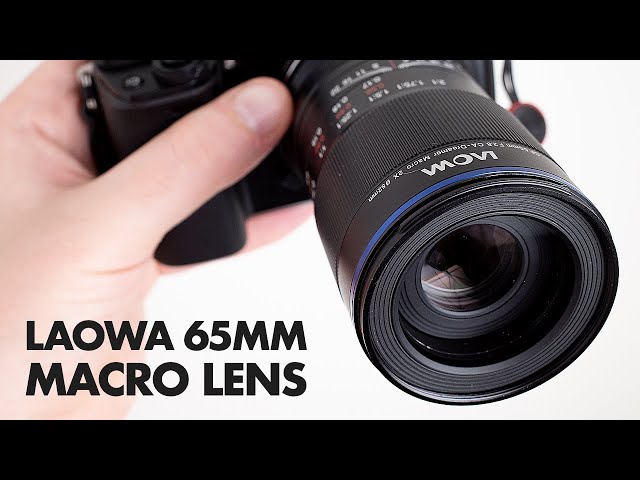 Laowa 65mm f/2.8 2x Macro Lens Review + Sample Photos - YouTube