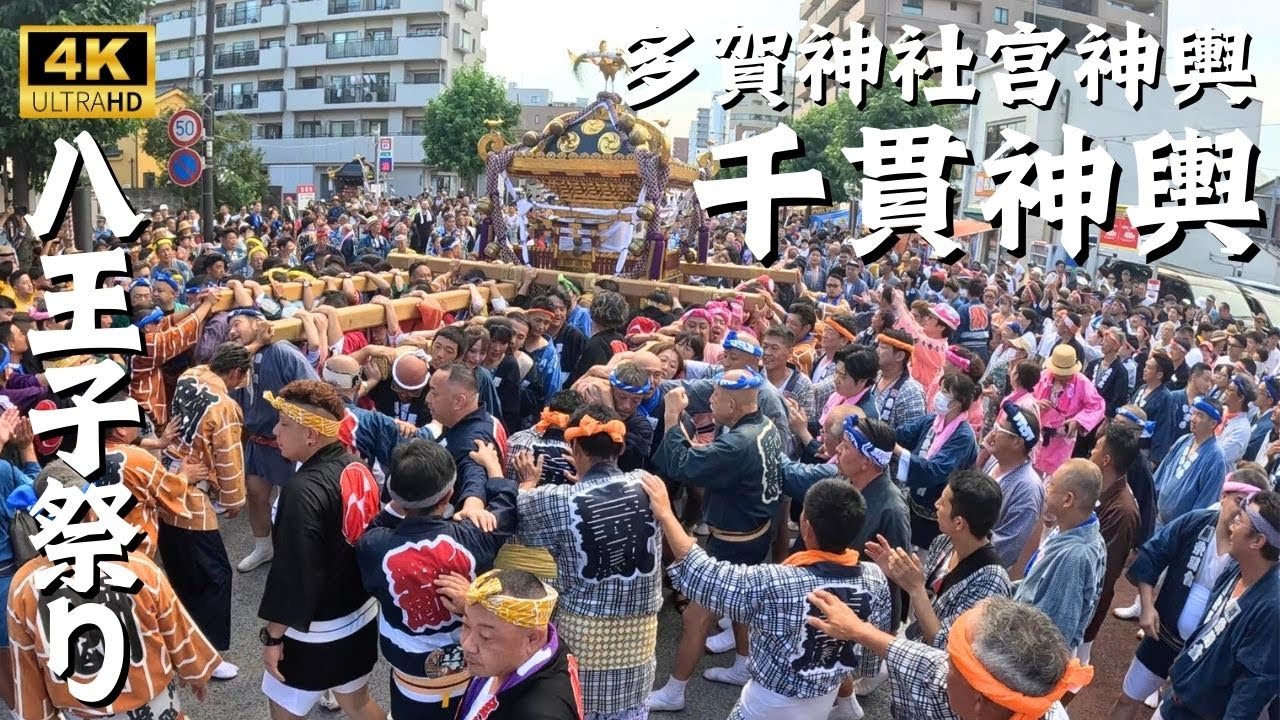 八王子祭り】2区：多賀神社宮神輿『千貫神輿』渡御 ～2024年～ - YouTube