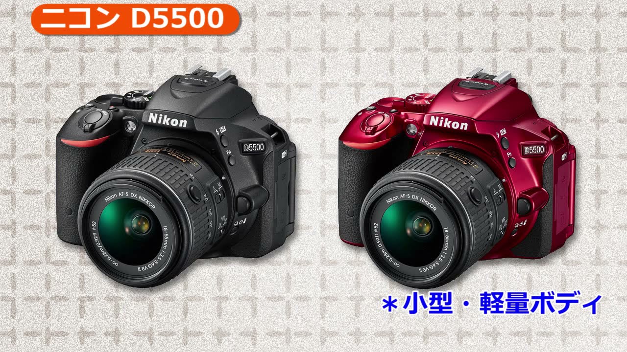 Nikon[ニコン] D5500｜イチオシ!デジタルカメラ｜カメラのキタムラ