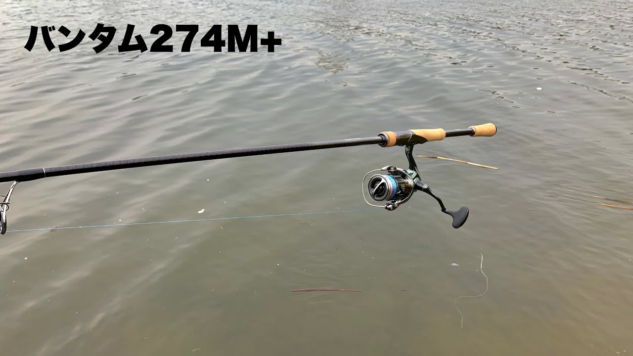 22バンタム274M+ クセは強いが極上の1本【インプレ】 - YouTube