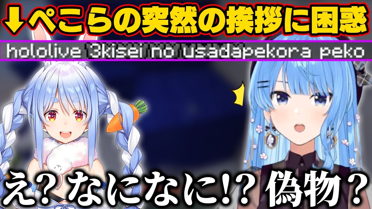 突然しっかり挨拶してきたぺこらに偽物かと困惑するすいちゃん