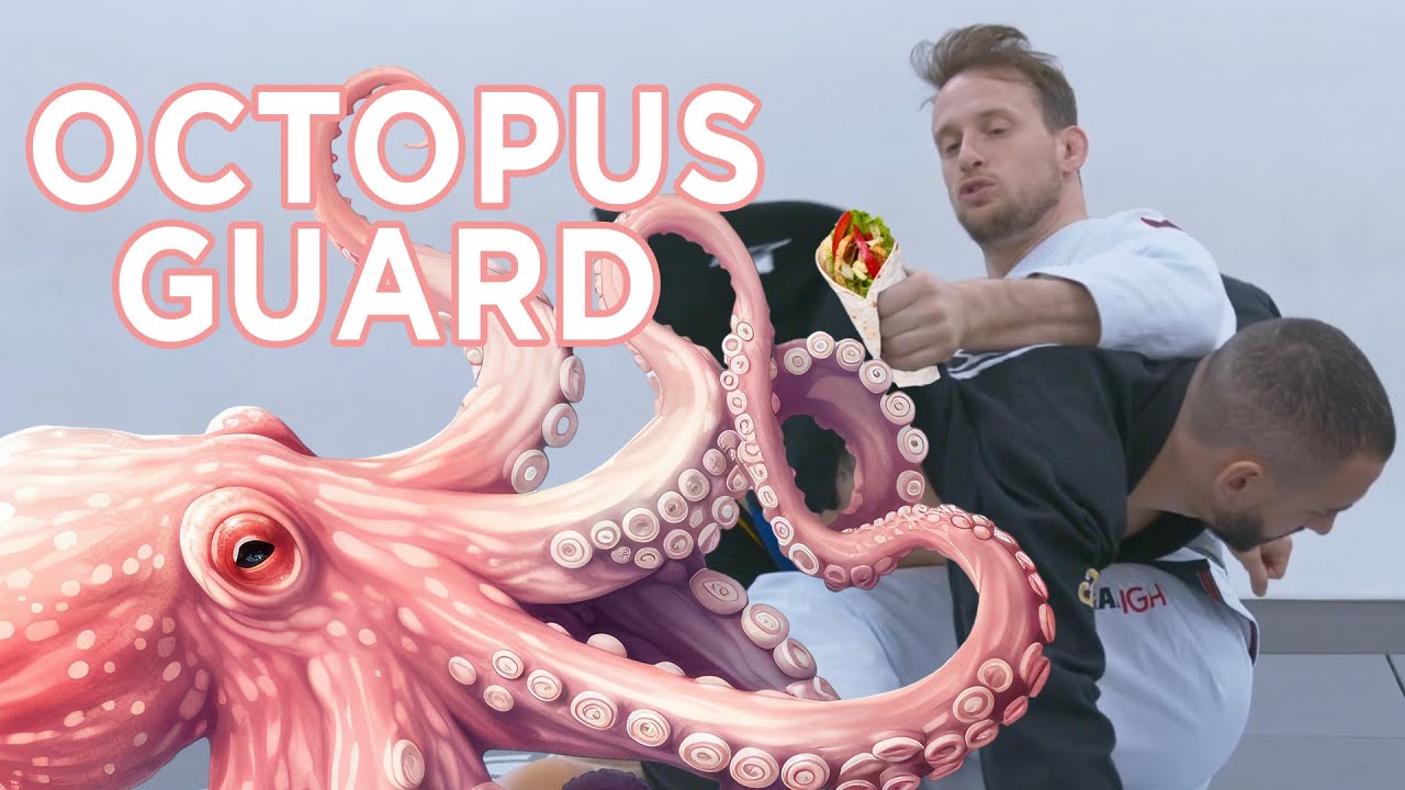 BJJ Guard Study : Octopus Guard like Eduardo Telles & Craig Jones