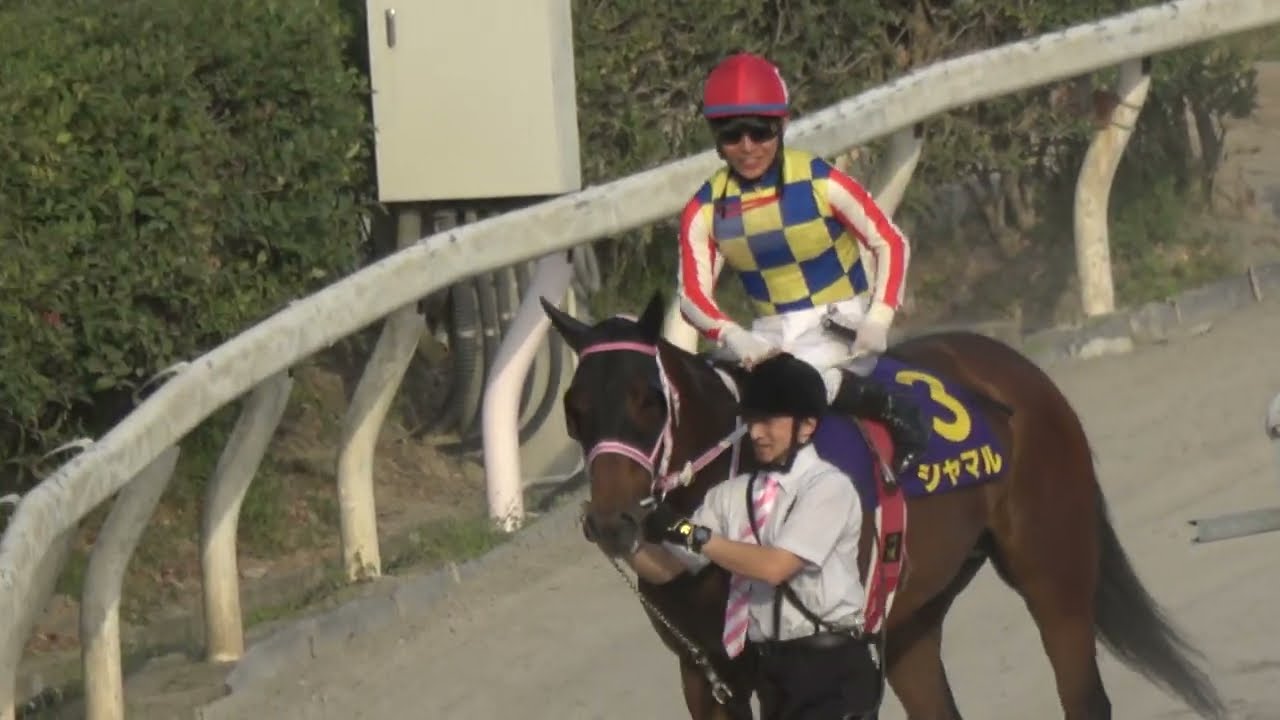 黒船賞2025】シャマル3連覇に川須騎手が愛でまくるウイニングラン 現地