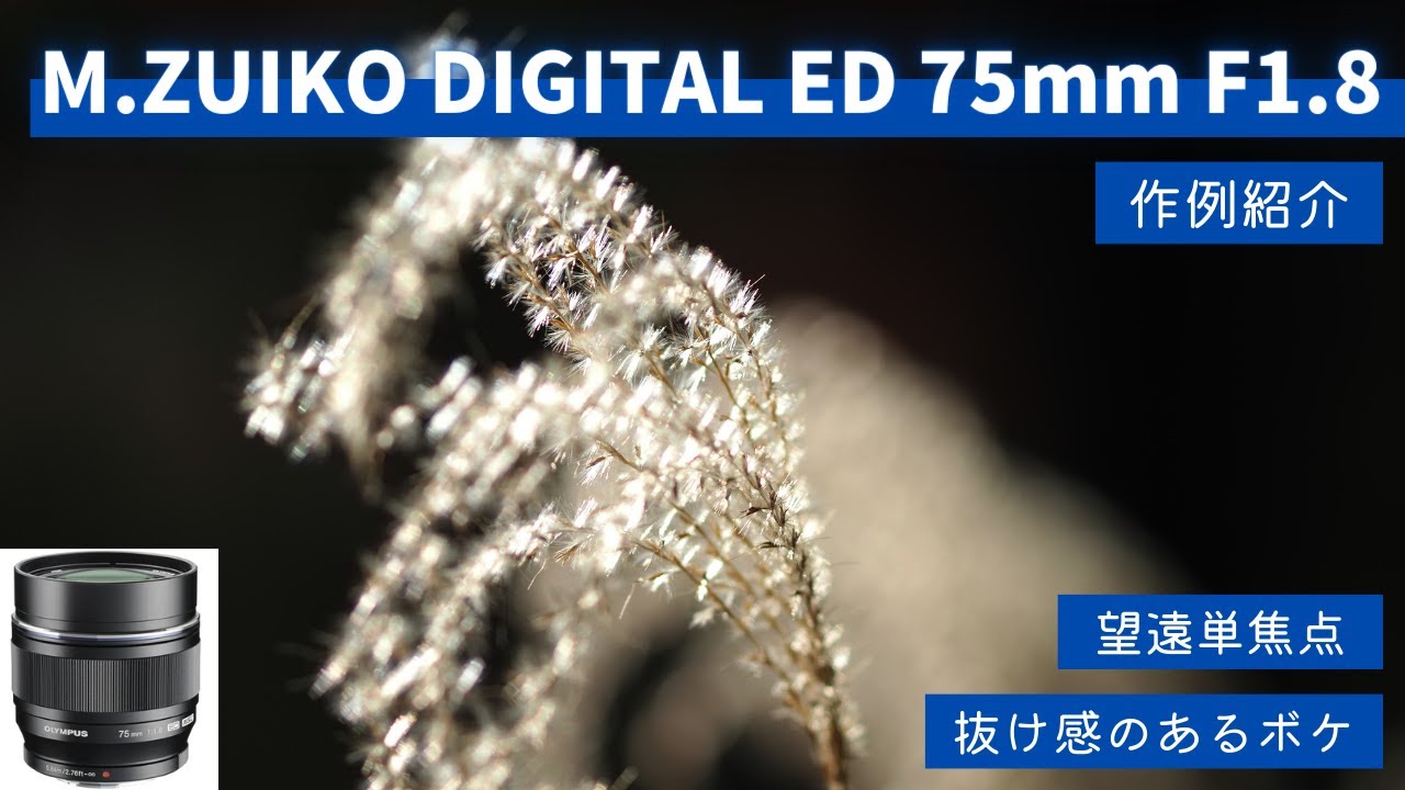 Lens Introduction] M.ZUIKO DIGITAL ED 75mm F1.8 Sample Images: A