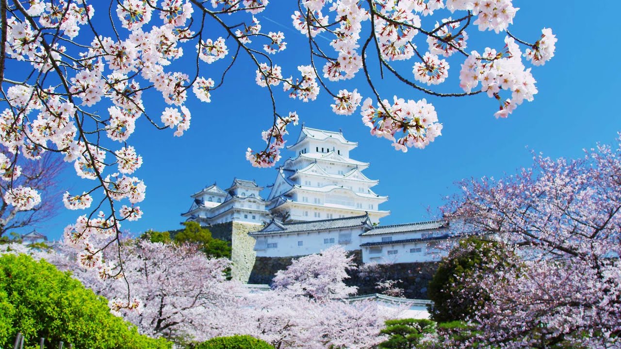 桜と姫路城の風景画屏風式日本画1995年