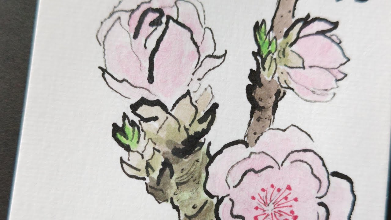 絵手紙始めました 34桃の花 picture letter 34 peach blossom - YouTube