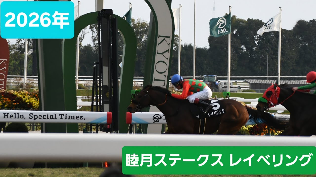 2002年 シンザン記念（GⅢ） | タニノギムレット | JRA公式 - YouTube