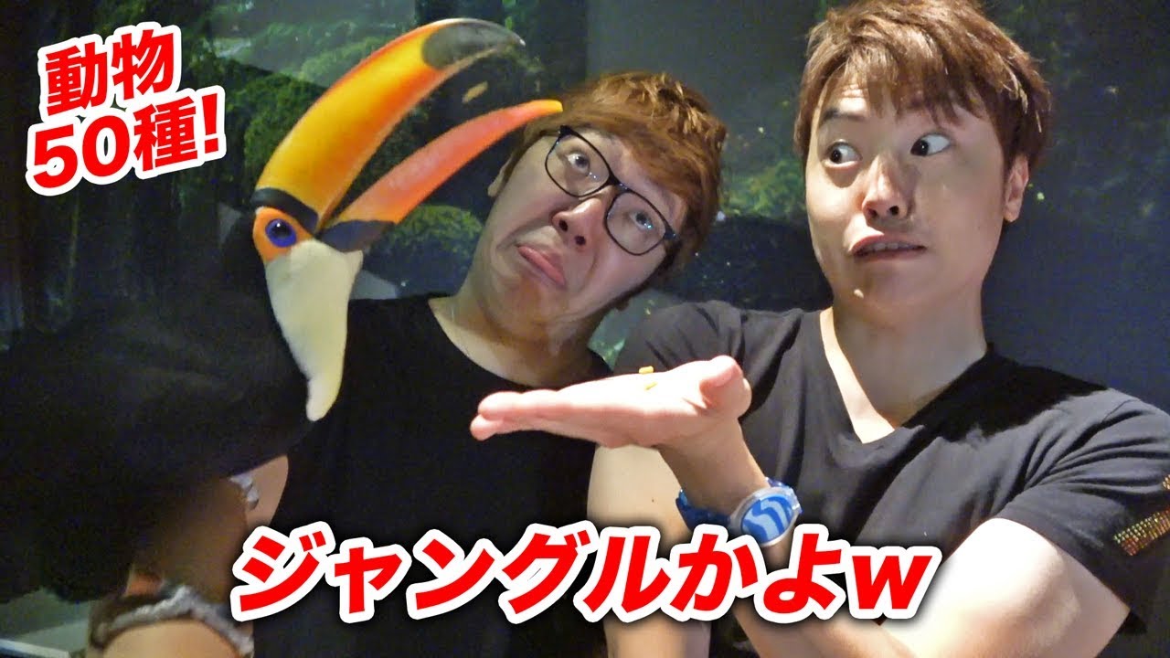 The facility with 50 different kinds of animals was like a jungle