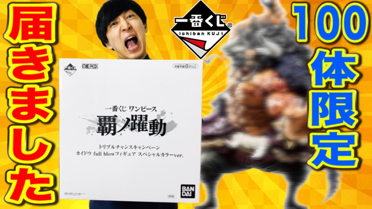 一番くじ】当選品！この世に100体しかない限定カイドウ届きました