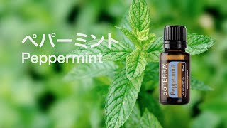 ペパーミント - doTERRA TIMES