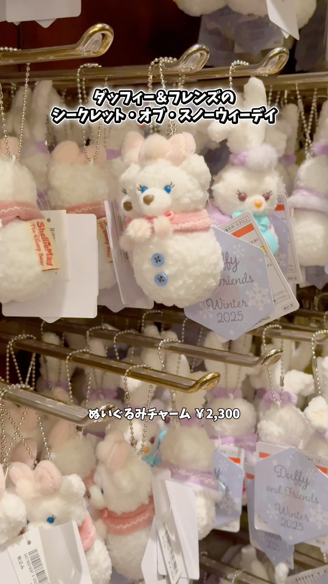 11/4発売！【ダッフィー＆フレンズのシークレット・オブ・スノーウィー