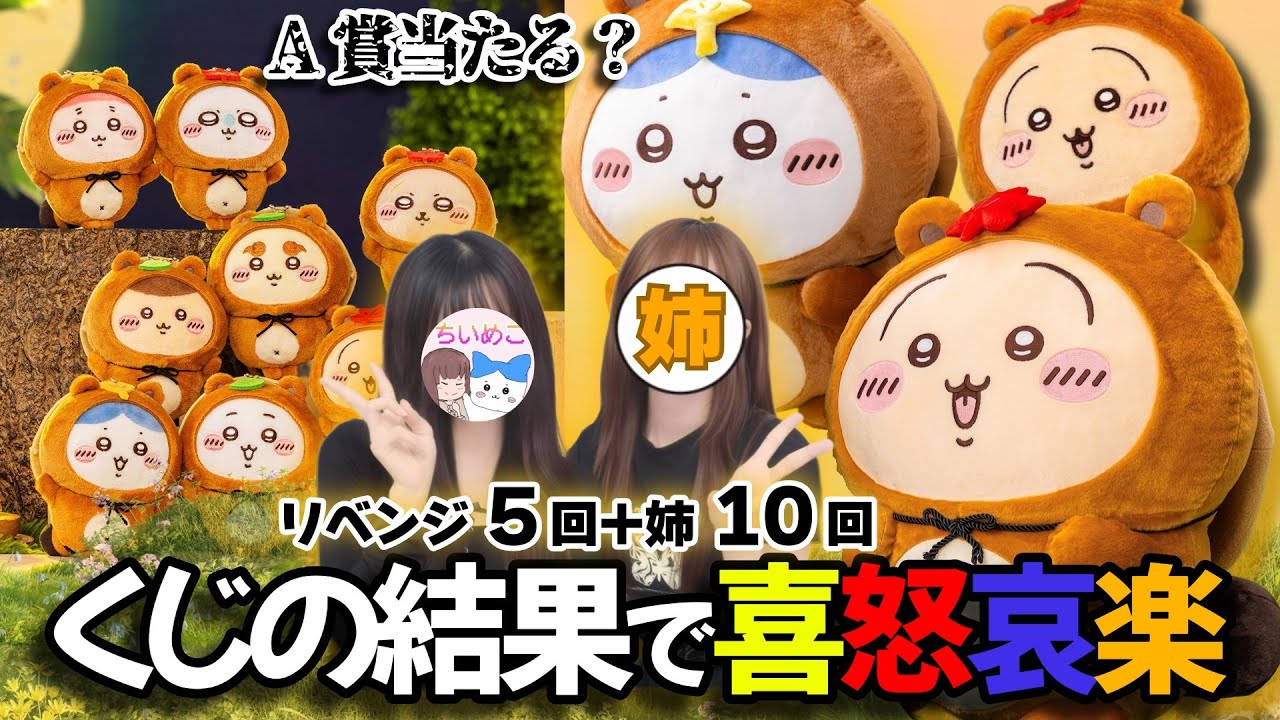 Chiikawa] The sisters are spinning the popular 