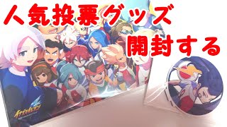 イナズマイレブン 剣城京介 人気投票記念缶バッジ 19個セット イナズマ