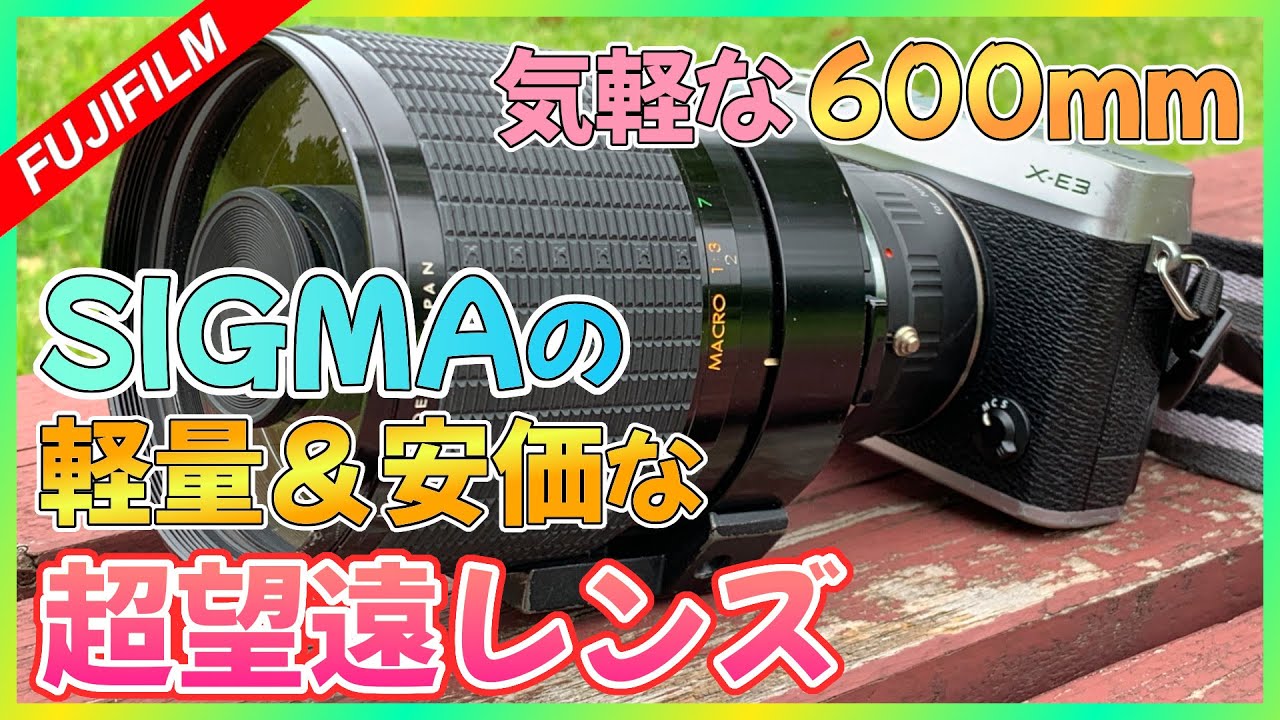 SIGMA】軽量安価な超望遠レンズ！600mmを気軽に手元に | SIGMA MIRROR