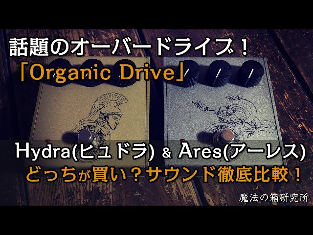 Organic Sounds 「Hydra」or「Ares」はどちらが買いか？弾き比べ