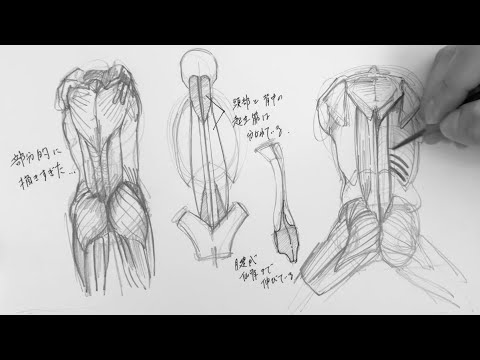 vol.6】モルフォ人体デッサン/体幹 +α スケッチ - YouTube